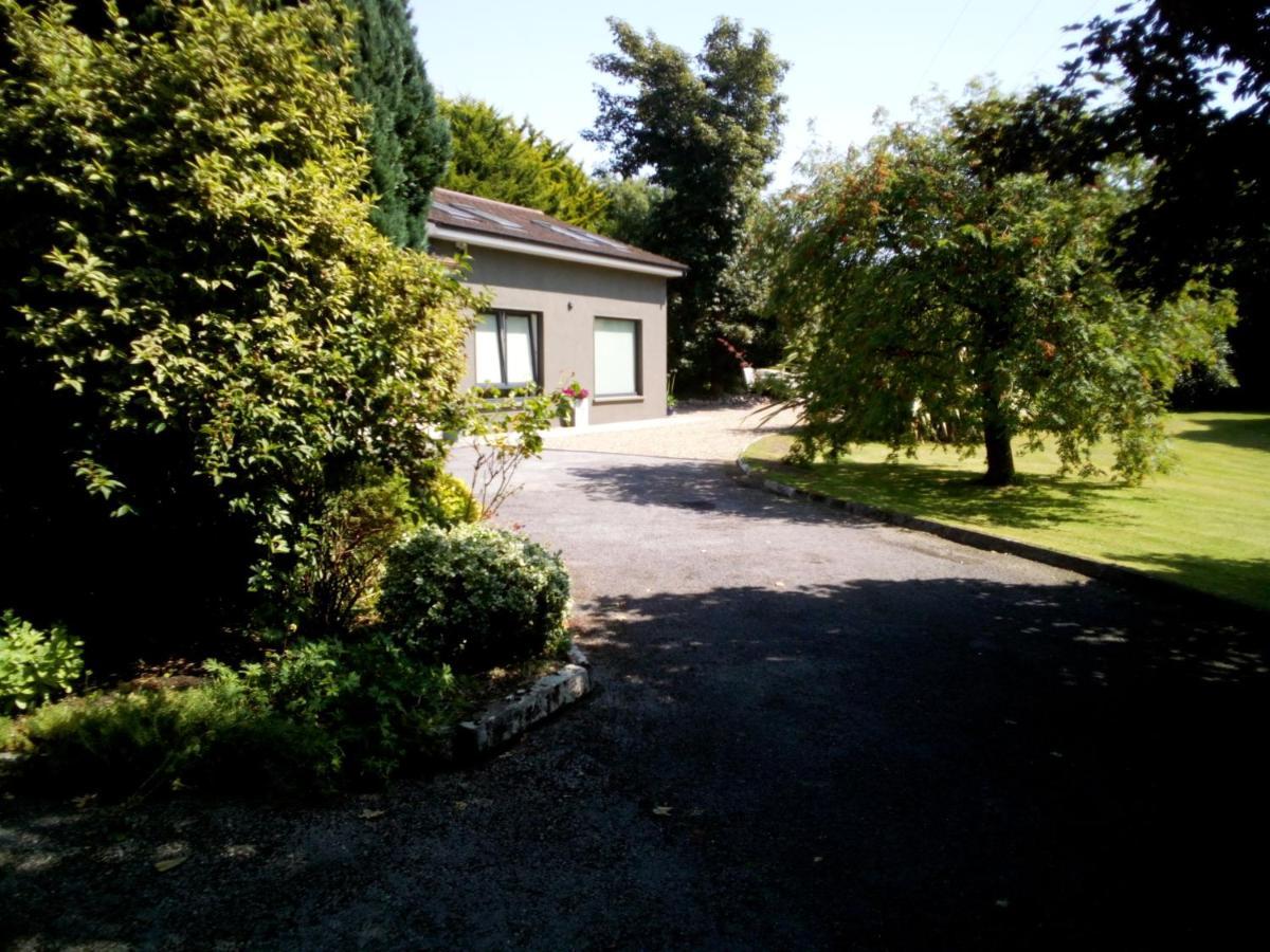 Spacious Contemporary Chalet Type Apartment. Galway Exteriör bild