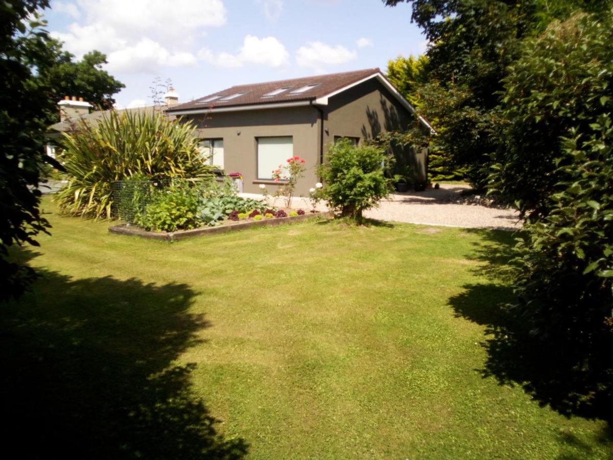Spacious Contemporary Chalet Type Apartment. Galway Exteriör bild