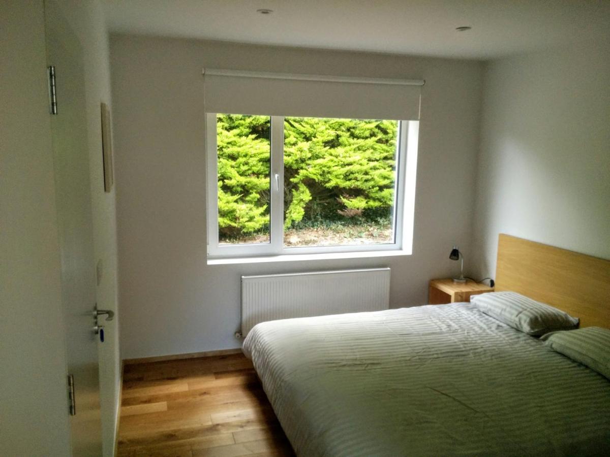 Spacious Contemporary Chalet Type Apartment. Galway Exteriör bild