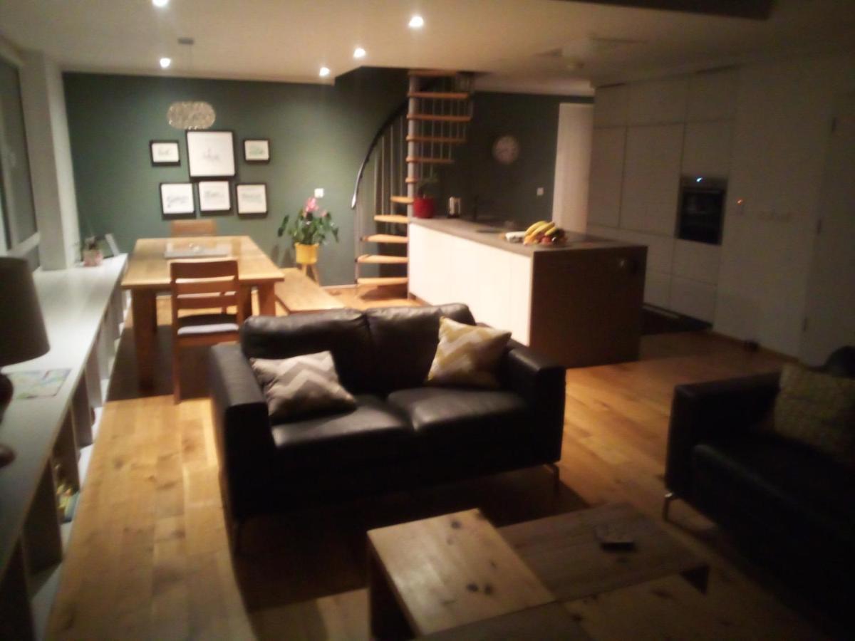 Spacious Contemporary Chalet Type Apartment. Galway Exteriör bild