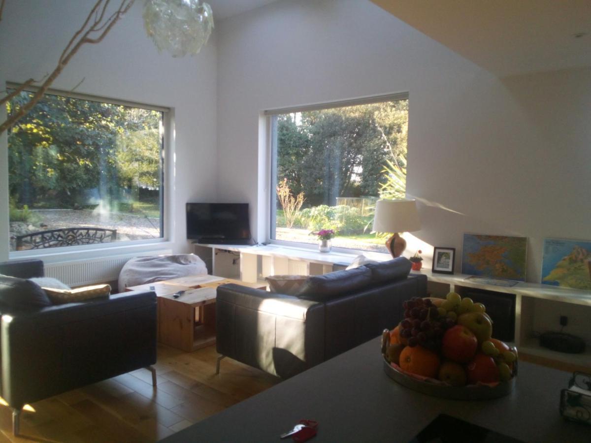 Spacious Contemporary Chalet Type Apartment. Galway Exteriör bild