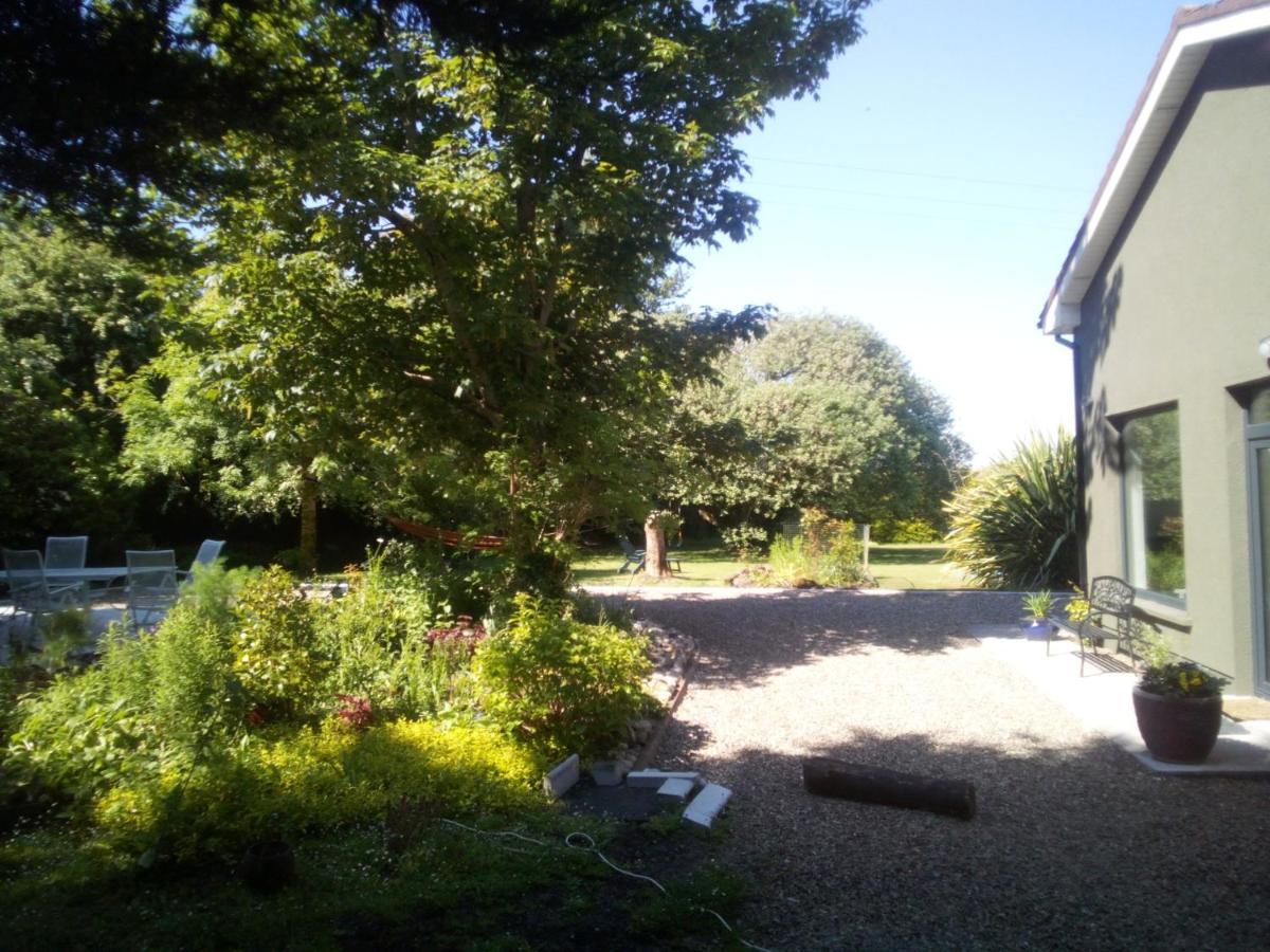 Spacious Contemporary Chalet Type Apartment. Galway Exteriör bild